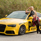Metal Audi _8_.JPG