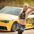 Metal Audi _15_.JPG