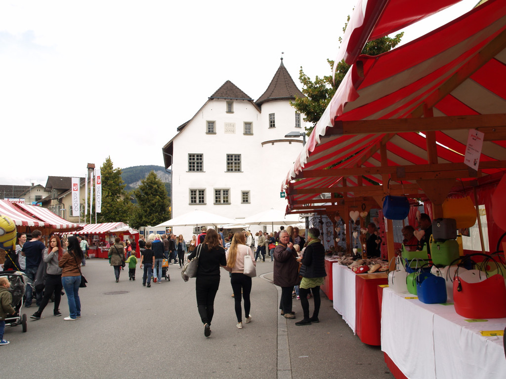 P1017185.jpg