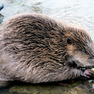 ABD0004-20110720.jpg
