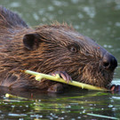ABD0048-20121003 _1_.jpg