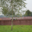 IMG_0095.JPG