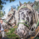 O zapft is - 22_09_2016 _21 von 128_.JPG