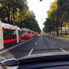 Bilder eines Leserreporters
