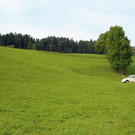 IMG_9916.JPG