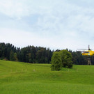 IMG_9919.JPG