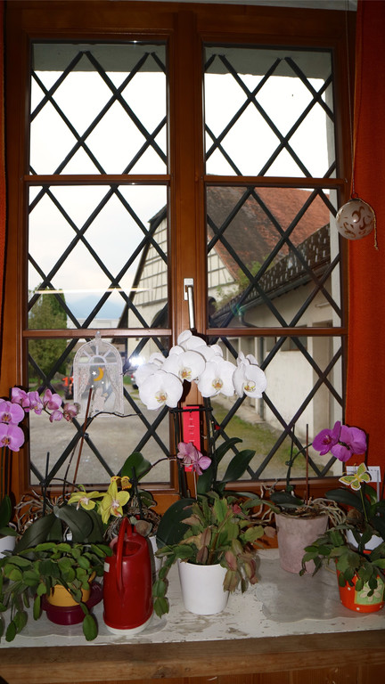 KOE_Dominikanerinnenkloster Altenstadt 17.jpg