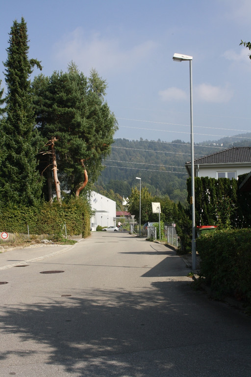 Stra__enbeleuchtung LED Auswechslung 2016 _8_.JPG