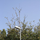 Stra__enbeleuchtung LED Auswechslung 2016 _4_.JPG