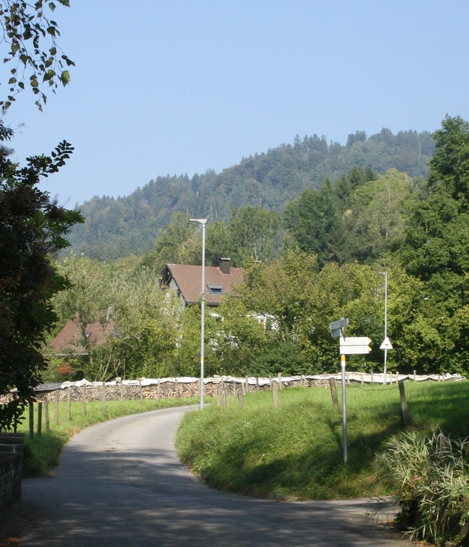 Stra__enbeleuchtung LED Auswechslung 2016 _13_.JPG