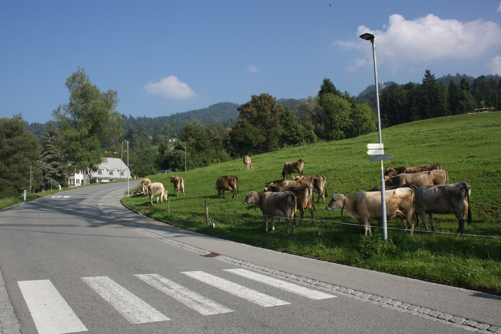 Stra__enbeleuchtung LED Auswechslung 2016 _14_.JPG