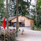 Ganz besondere Esel gibt es im Wildpark
