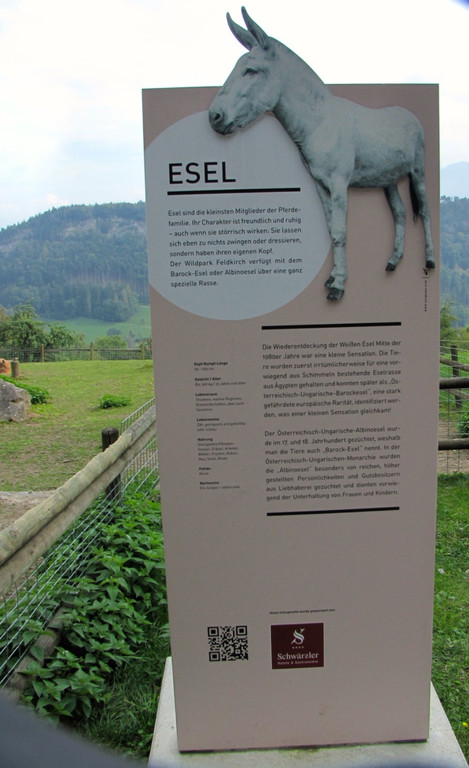 KOE_Wildpark Tierpate Esel 2.jpg