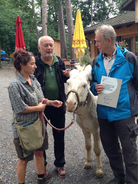 KOE_Wildpark Tierpate Esel 3.jpg