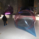 IMG_8868.jpg