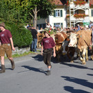 DSC_0016.JPG