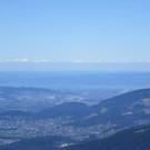 IMG_4974.JPG