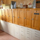 Bienen 3.jpg