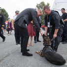 AFP_GH48H.jpg