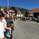 Galtvieh-Alpabtrieb Hohe Kugel Fraxern