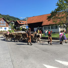IMG_7076.JPG