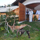 DSC_3802.jpg
