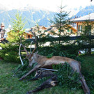 DSC_3825.jpg