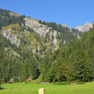 DSC_3740.jpg