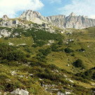 20160915_092809.jpg