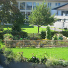 Gem__segarten 2016-09-22a.JPG