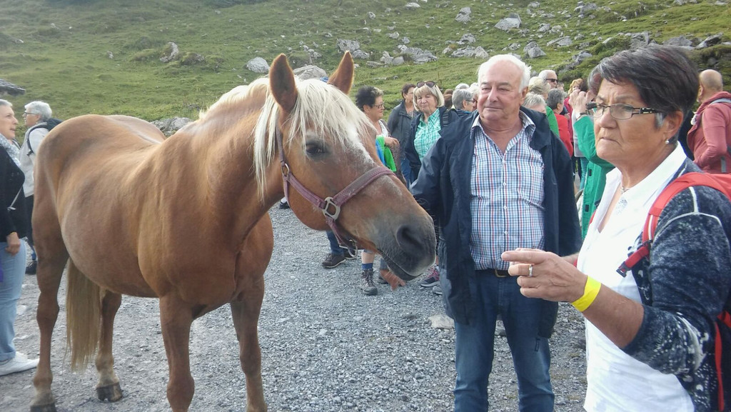Landeswandertag Formarinsee  _  _ _51_.jpg