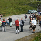 Landeswandertag Formarinsee  _  _ _52_.jpg