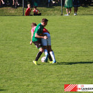 IMG_8935.jpg