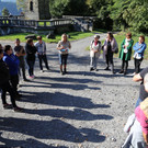Hundetraining in Feldkirch