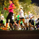 schedl_7b3a1733.jpg