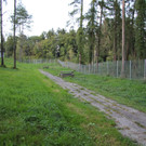 IMG_0550.JPG