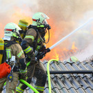 Brand Schlins38.jpg
