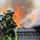 Brand Schlins39.jpg