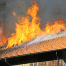 Brand Schlins23.jpg
