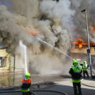 Brand Schlins10.jpg