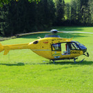 IMG_9933.JPG