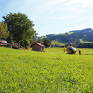 IMG_9940.JPG