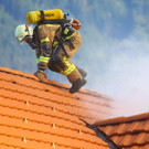 Brand Schlins74.jpg