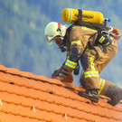 Brand Schlins75.jpg