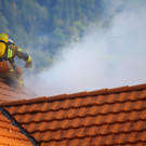 Brand Schlins73.jpg
