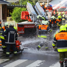 Brand Schlins67.jpg
