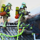 Brand Schlins51.jpg