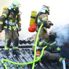 Brand Schlins50.jpg