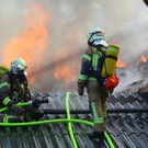 Brand Schlins44.jpg