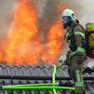 Brand Schlins46.jpg
